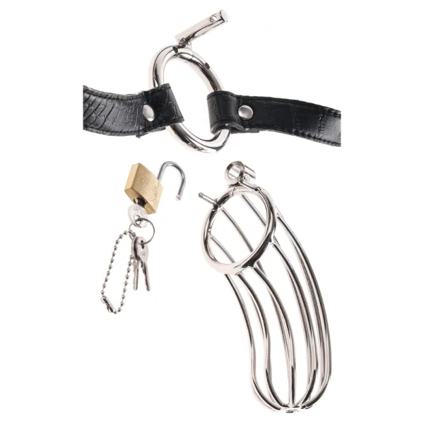 Fetish Fantasy Extreme Steel Chastity Cock Cage Belt
