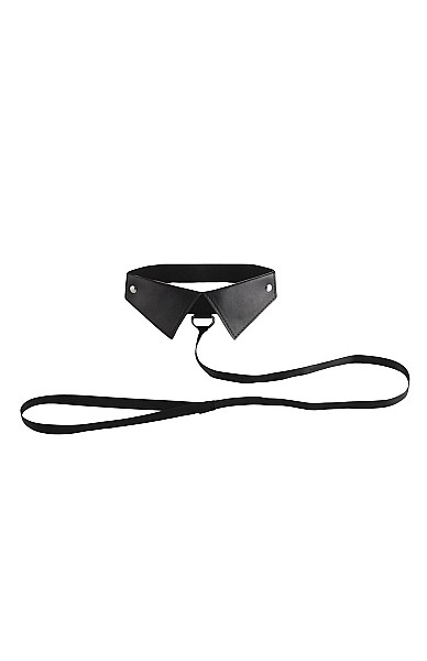 Classic Collar With Leash