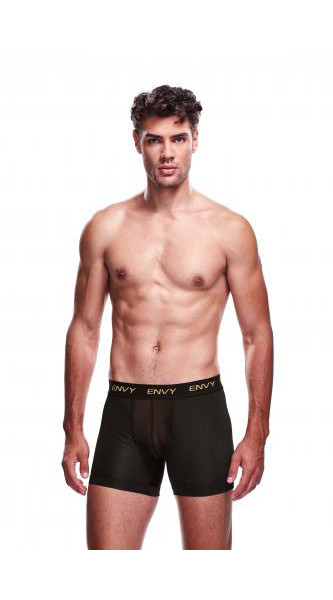 Envy Transparent Mesh Shorts - S/M