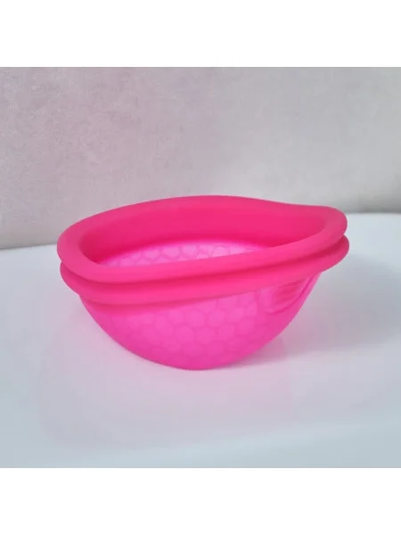 Intima Ziggy Cup 2