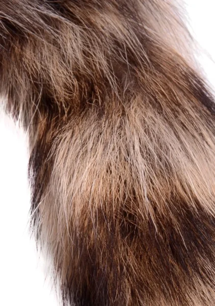 Fox Tail Anal Plug