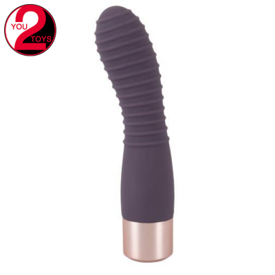 You 2 Toys Flexy Elegant Vibrator