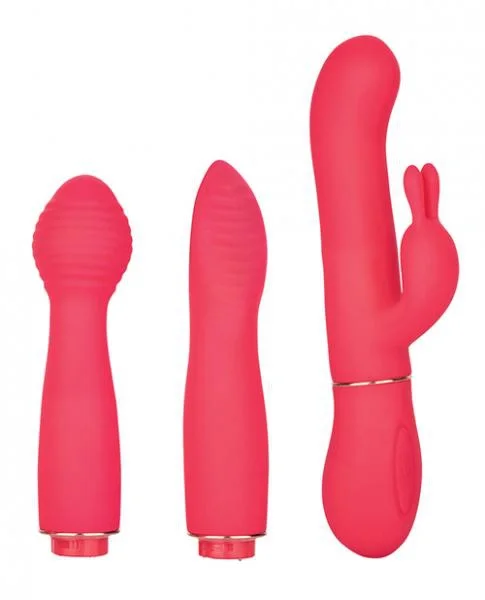 In Touch Dynamic Trio Pink Vibrator Kit — image 5 of 8