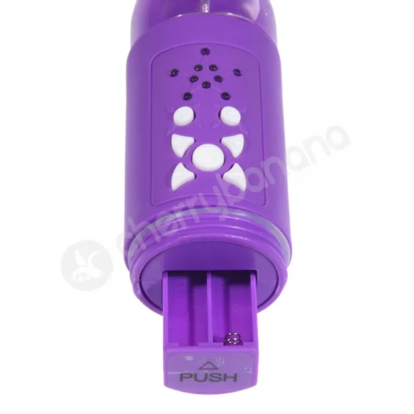 Dream Maker Heavenly Dolphin Purple Vibrator