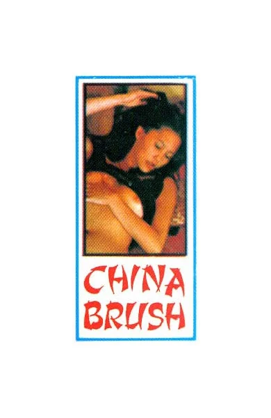 Nasstoys China Brush