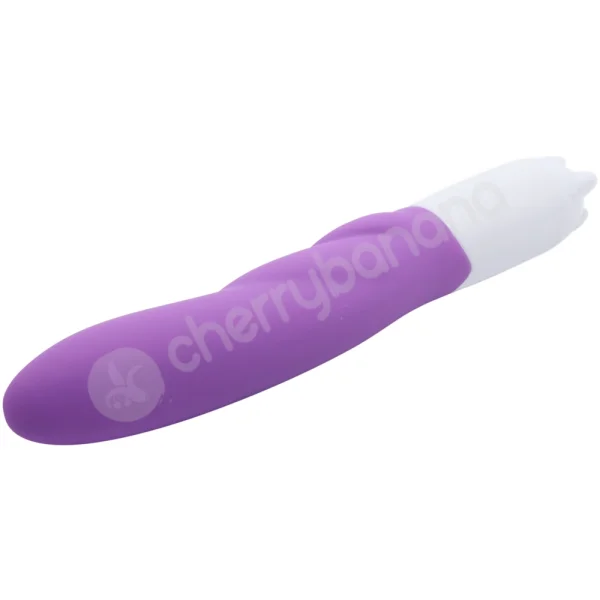 Cherry Banana Purple 10 Speed Wave Rider Vibrator