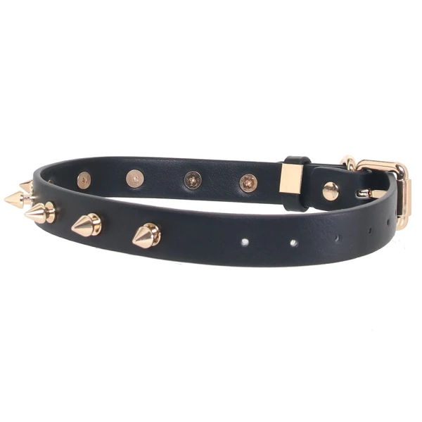 Fetish & Fashion Medusa Spiked Collar By NS Novelties - Black & Gold
