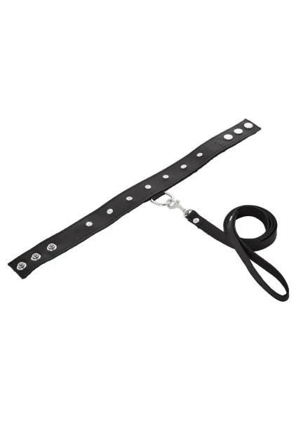 Leather Metal Studded Collar and Leash Set