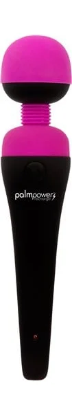 PalmPower Recharge