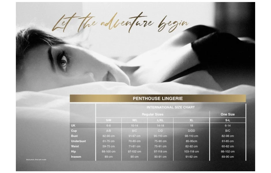 Penthouse BEDTIME STORY