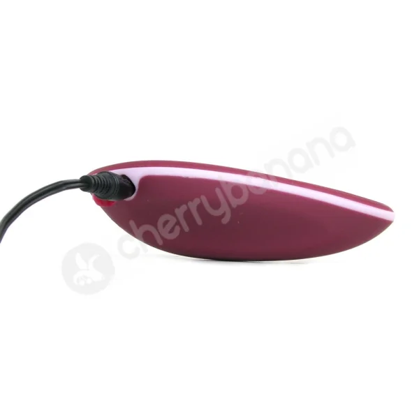Bsoft Burgundy Rechargeable Massager