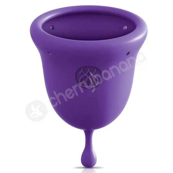 Jimmyjane Intimate Care Purple Menstrual Cups 2 Pack