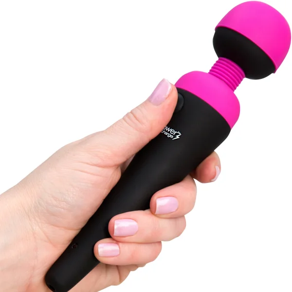 BMS PalmPower Rechargeable Wand Massager
