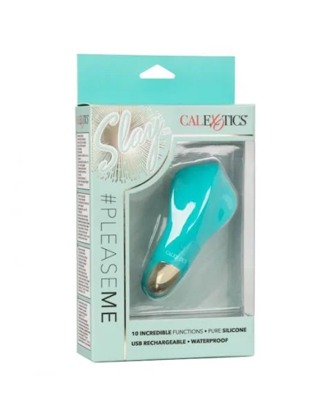 Slay #pleaseme - Teal - 4.5 Inch