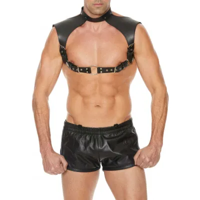 Leather Harness Neck Collar
