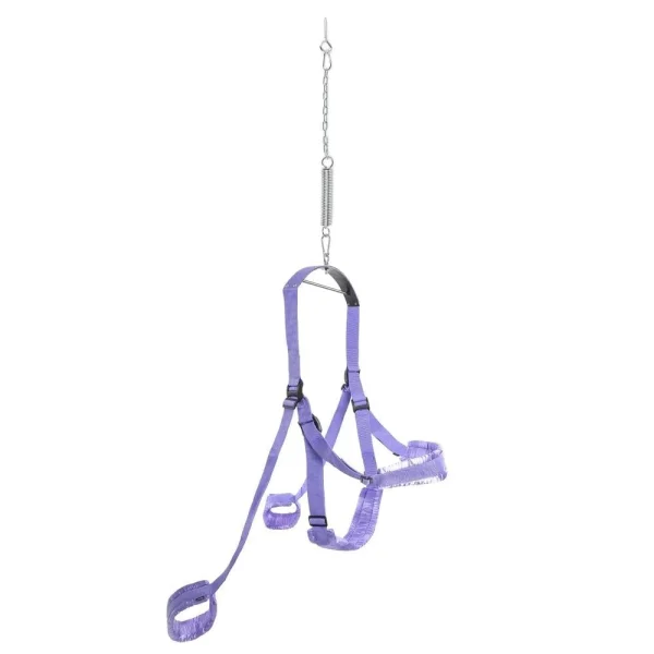 Fantasy Swing Purple