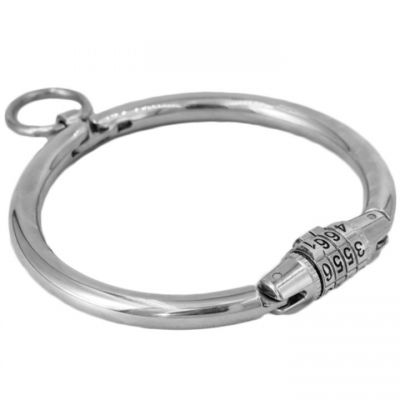 Bondara Luxe Stainless Steel Combination Lock Collar