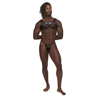 Male Power Aries