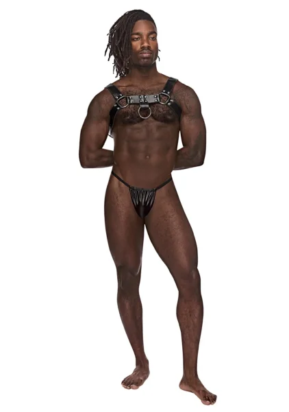 Male Power Aries