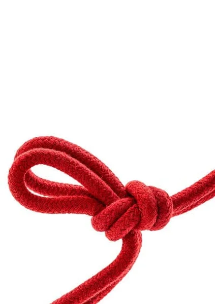 Temptasia Bondage Rope 32 Feet By Blush Novelties - Red — image 19 of 23