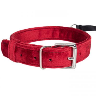 Bondara Red Velvet Collar with Leash