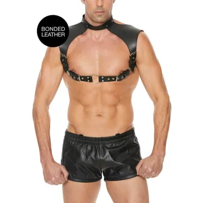 Men s Harness with Neck Collar