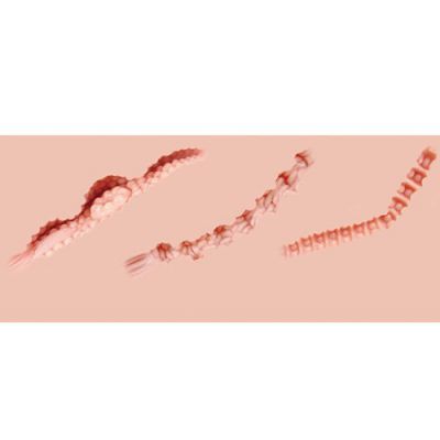 Bondara Back at It Three Hole Vibrating Love Doll 21 25 Inch