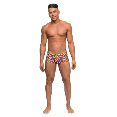 Pride Fest Mini Short Medium Print
