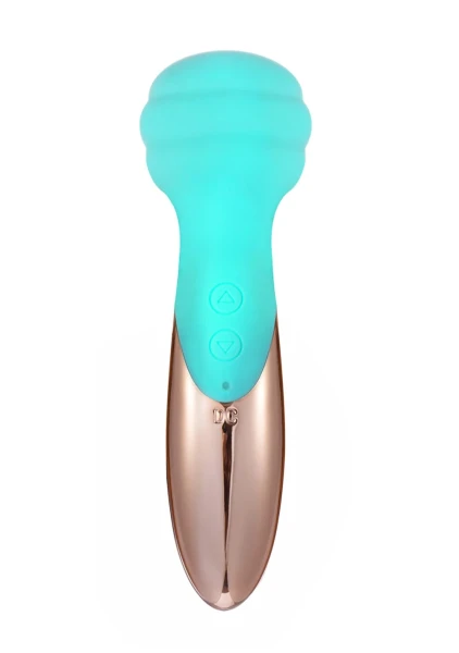 Kiwi Rechargeable Instertable Bullet