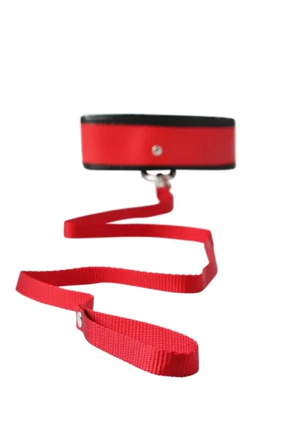 Sex & Mischief Leash and Collar