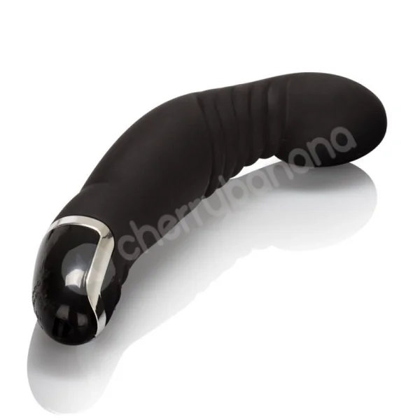 Dr. Joel Kaplan Black Silicone Ridged P Vibrator