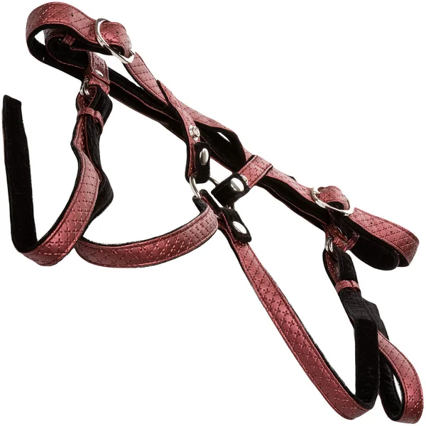 Her Royal Harness The Regal Duchess O-Ring Harness by CalExotics - Red — image 8 of 10