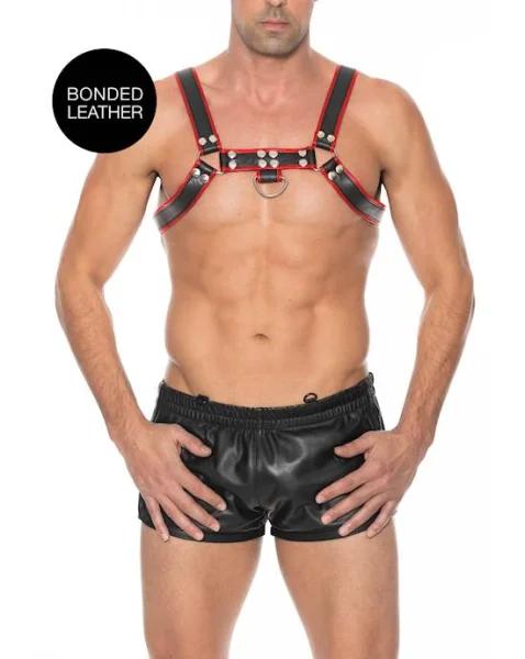 Chest Bulldog Harness L/XL