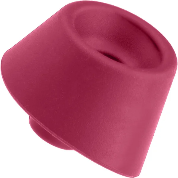 Womanizer DUO 2 Silicone Pleasure Air Clitoral & G-Spot Stimulator - Bordeaux