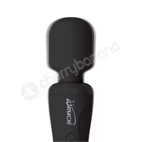 Black Wanachi Body Recharger Massager