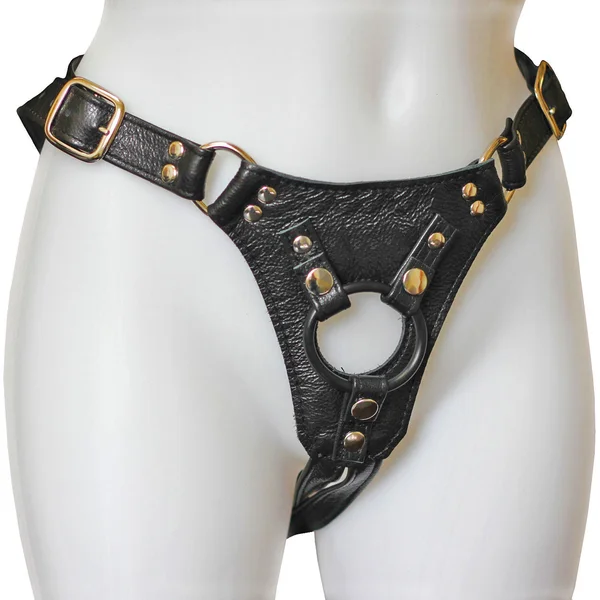 Aslan Jaguar Harness Black & Brass — image 6 of 6