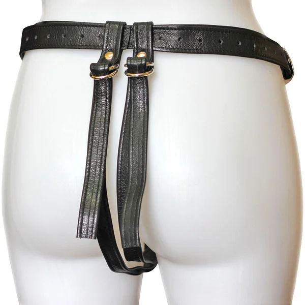 Aslan Jaguar Harness Black & Brass — image 5 of 6