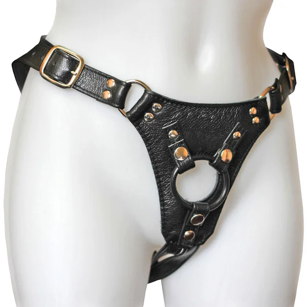Aslan Jaguar Harness Black & Brass — image 4 of 6