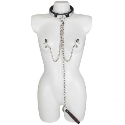 Bondara Luxe Metal and Leather Collar Leash and Nipple Clamps