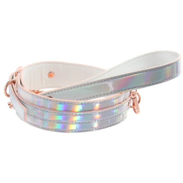 Cosmo Bondage Collar And Leash By NS Novelties - Rainbow