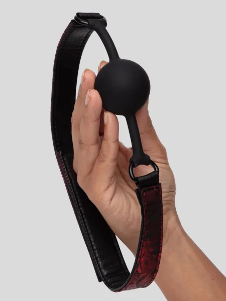 Fifty Shades of Grey Sweet Anticipation Reversible Silicone Ball Gag