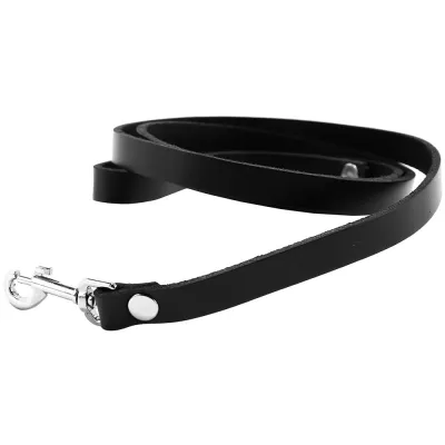 4 Leather Leash