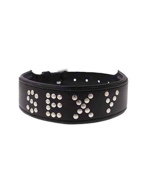 Bound X Sexy Studded Collar