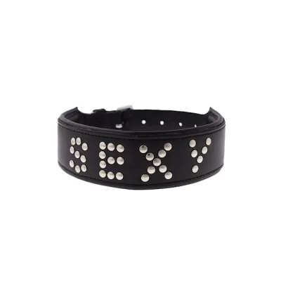 Bound X Sexy Studded Collar