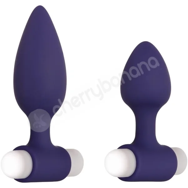 Evolved Dynamic Duo Blue 2 Sized Butt Plugs With Interchangeable Bullet Vibe