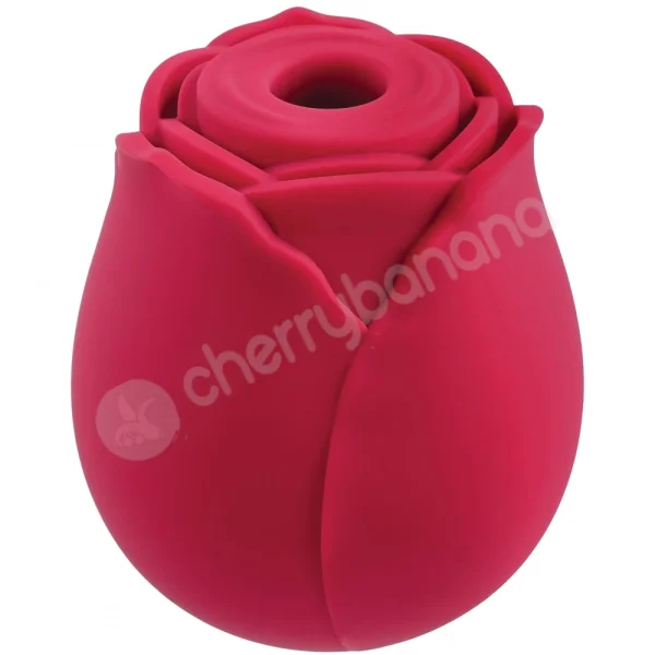 Valentine's Day Roses Bundle