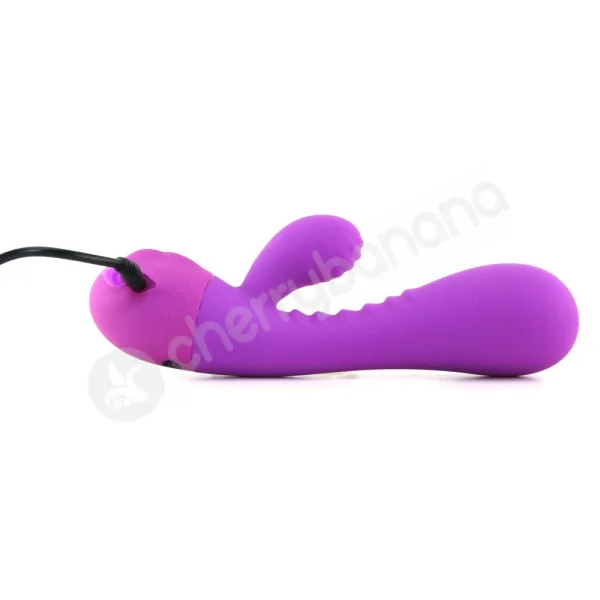 Alise 2 Purple Rechargeable Vibrator