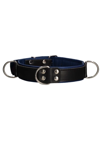 Deluxe Bondage Collar