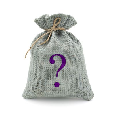 Mystery Bag Vibrator
