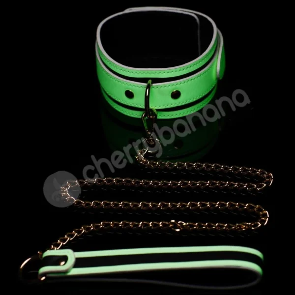 Kink In The Dark Glowing Collar & Lead